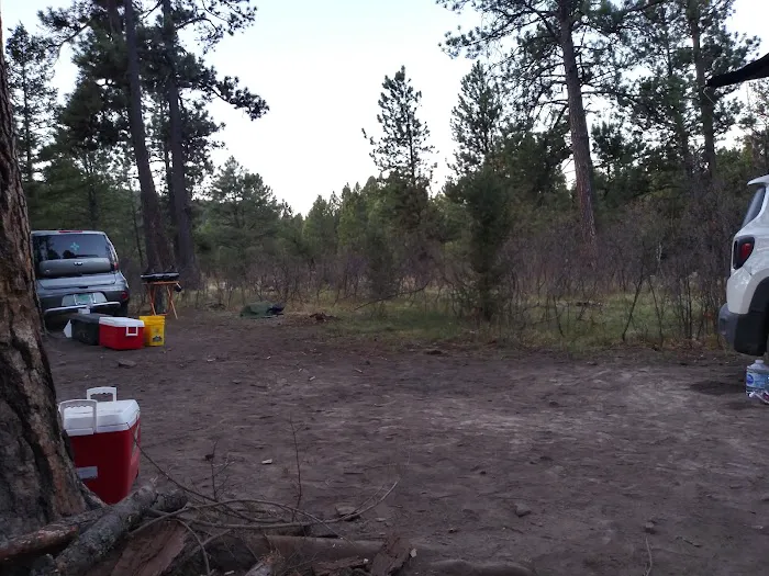 Davis - Willow Dispersed Campground 4