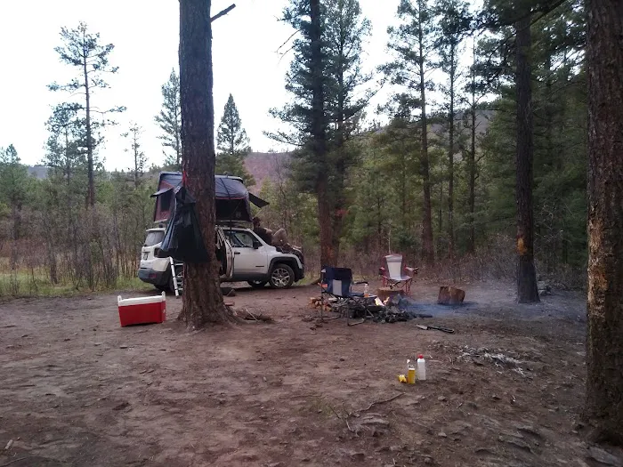Davis - Willow Dispersed Campground 7