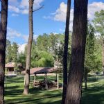 Shaw's Apartments & RV Park