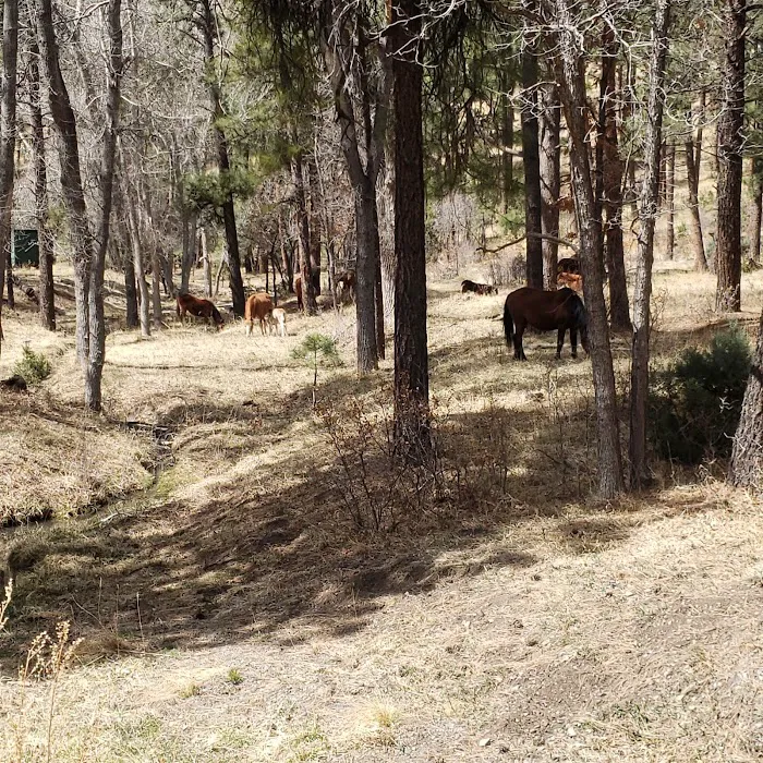 Sam Tobias Memorial Group Campground 4