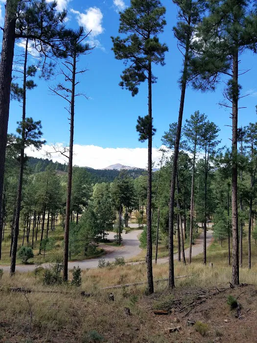 Sam Tobias Memorial Group Campground 7