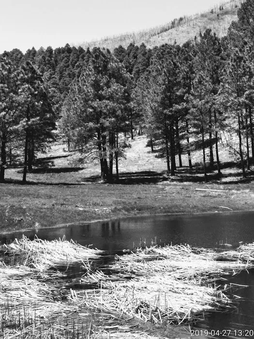 Eagle Lake Campground & RV Park Entrance 6