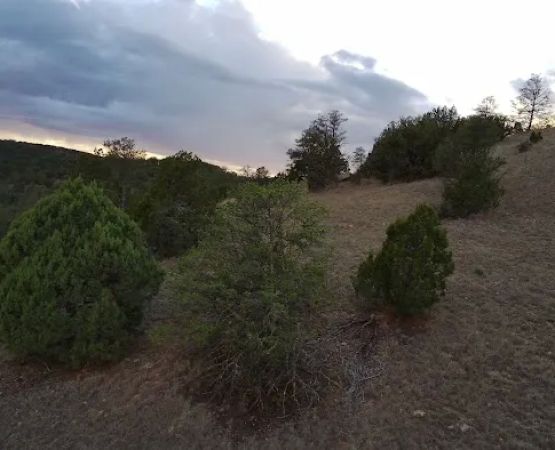 Shadow Mtn campgrounds .
