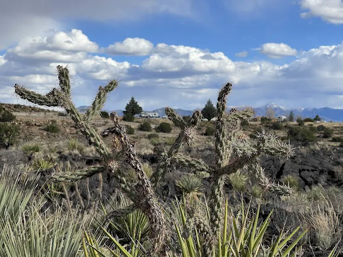 Valley of Fires 9