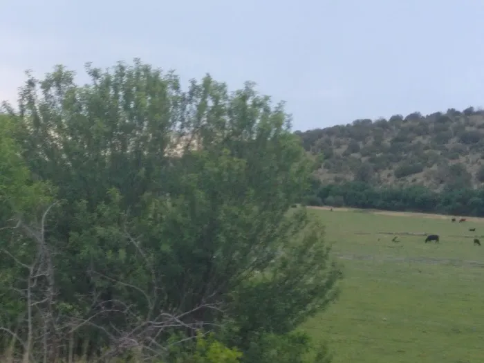 Sacramento Mountain Retreat 8