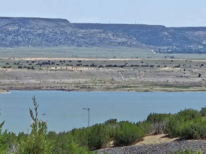 Cochiti Rec Area, Juni Loop 5