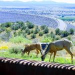 US Army Corps of Engineers