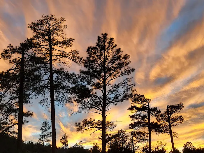 Juniper Family Campground 8