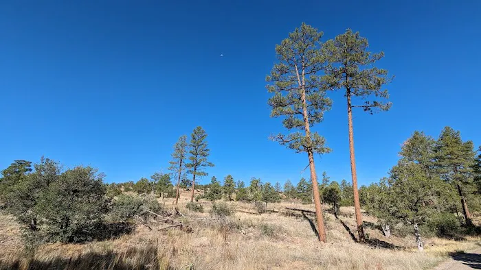 Juniper Family Campground 3