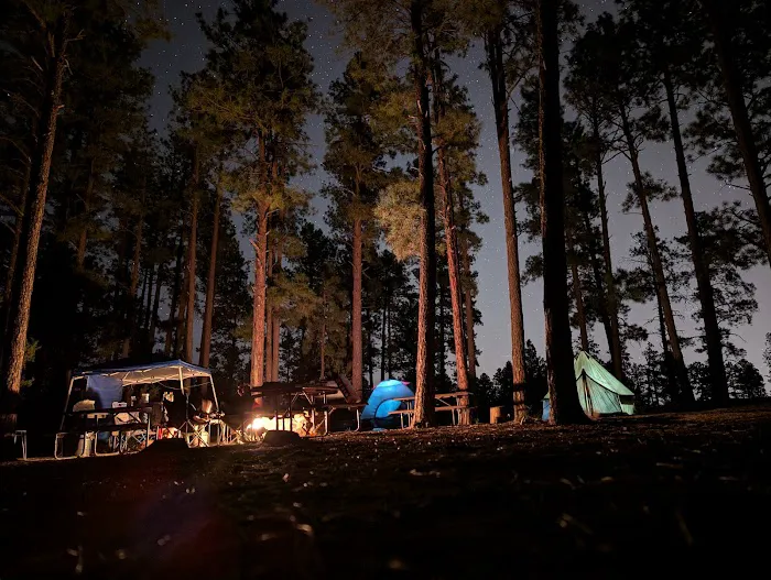 Ponderosa Group Campground 4