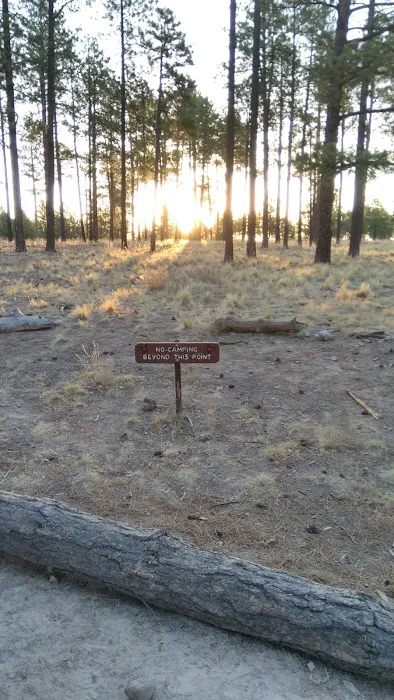 Ponderosa Group Campground 1