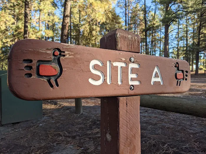 Ponderosa Group Campground 0