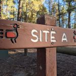 Ponderosa Group Campground