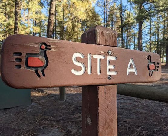 Ponderosa Group Campground