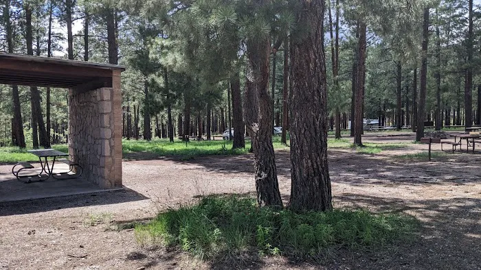 Ponderosa Group Campground 2