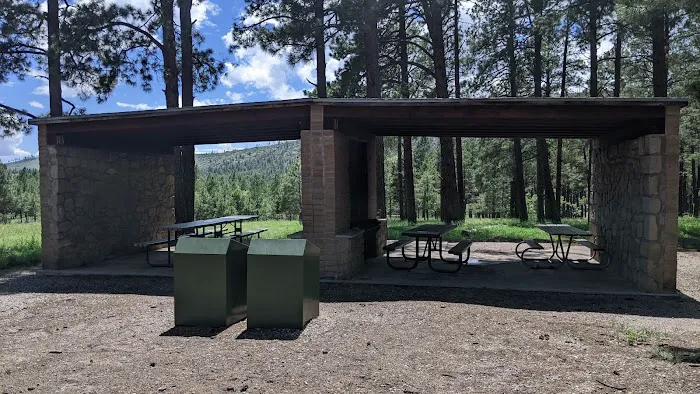 Ponderosa Group Campground 8