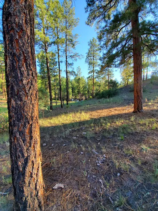 Paliza Family Campground 3