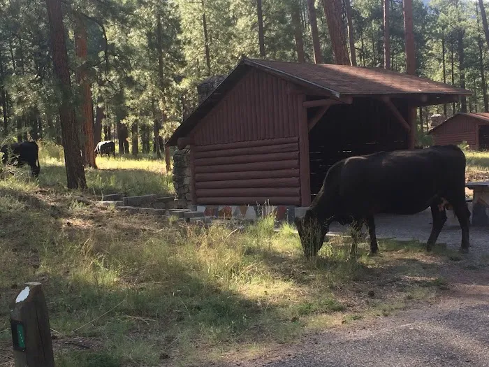 Paliza Family Campground 5