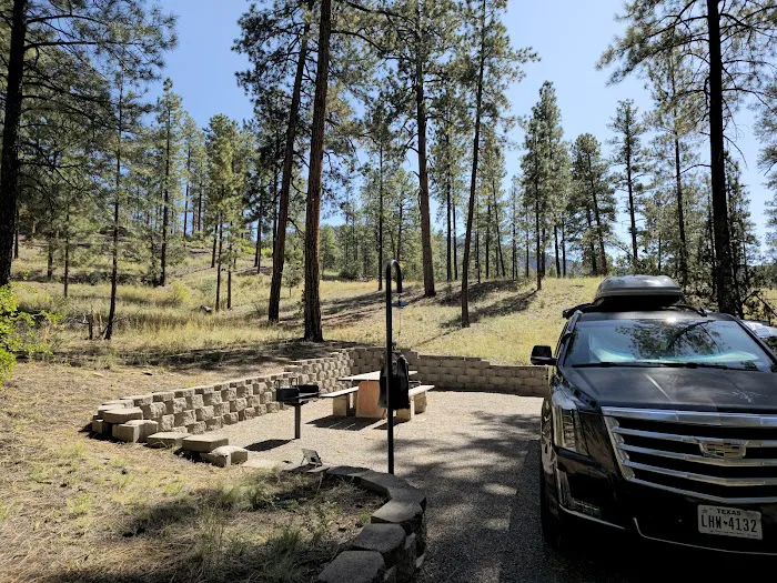 Paliza Family Campground 4