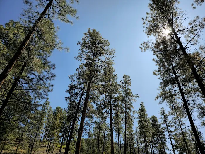 Paliza Family Campground 2