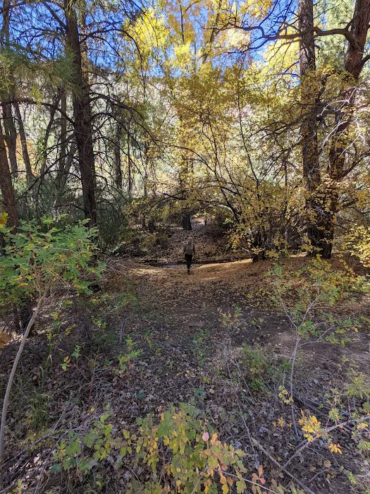 Paliza Family Campground 9