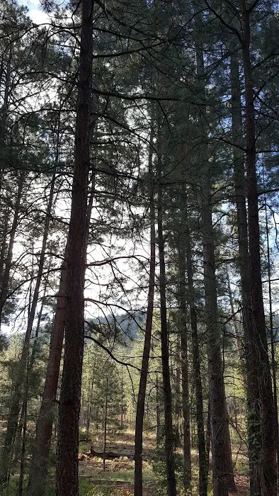 Paliza Group Campground 2