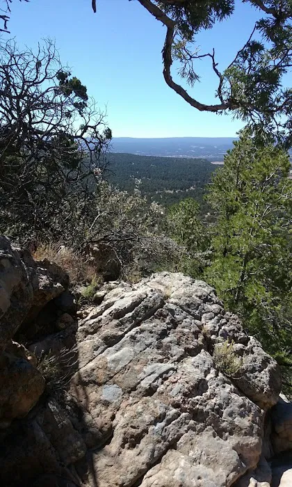 Mt Taylor Ranger District 5