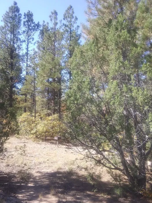 Lobo Canyon Picnic ground 3