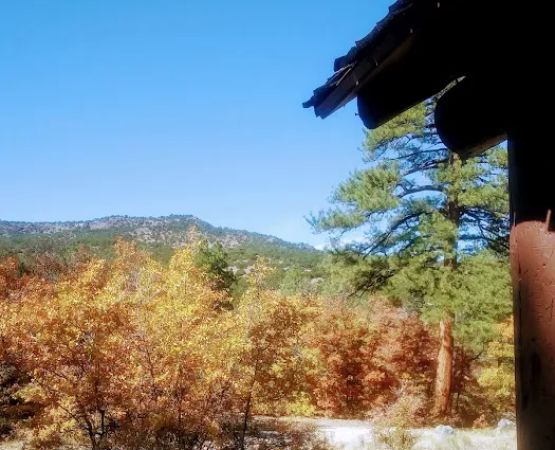 Lobo Canyon Picnic ground