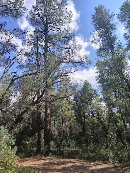 Coal Creek Campground 3