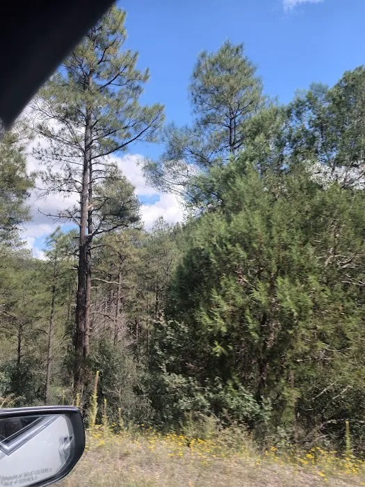 Coal Creek Campground 4