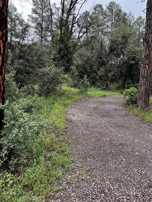 Coal Creek Campground 5