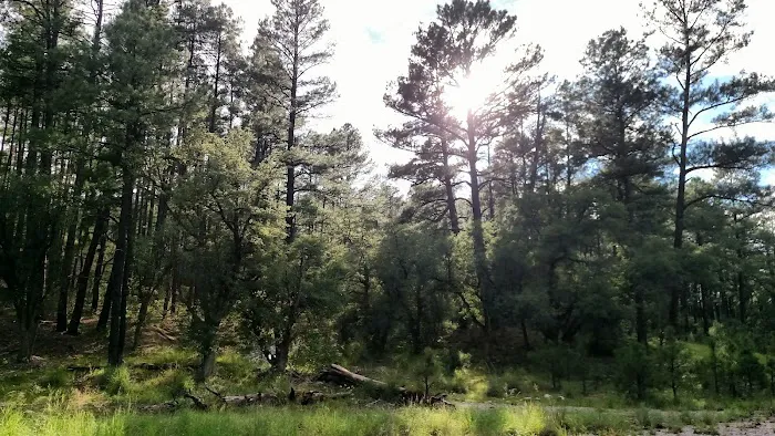 Coal Creek Campground 6