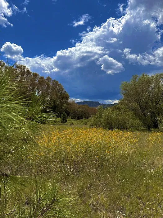 Upper Blue Campground 3