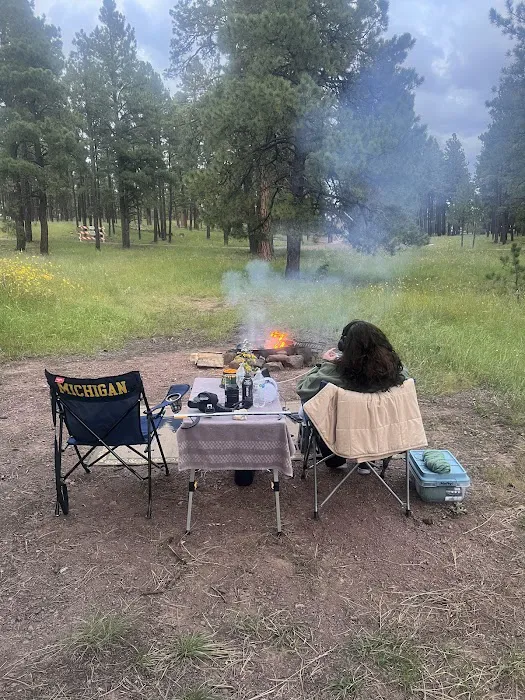 Luna Lake Campground 1