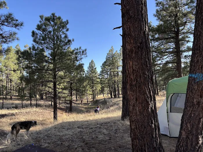 Luna Lake Campground 6
