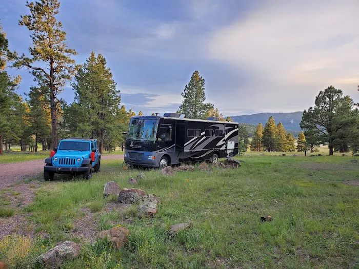 Luna Lake Group Campground 5