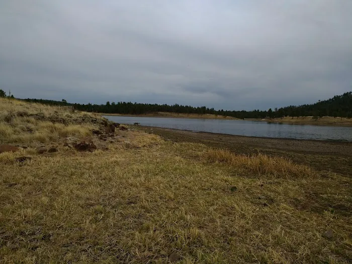 Luna Lake Group Campground 7