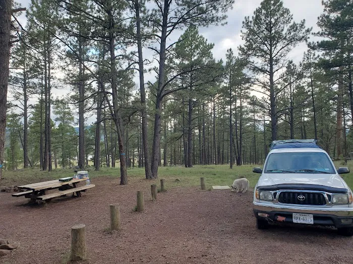 Luna Lake Group Campground 3