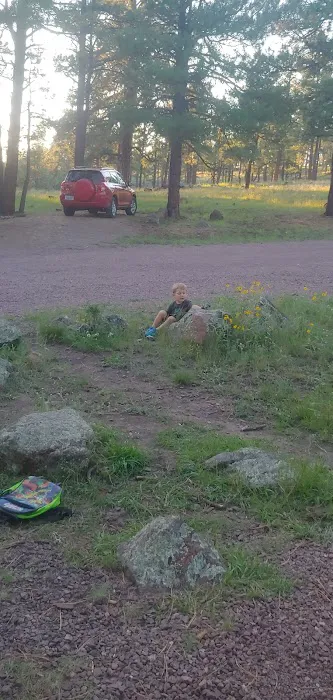 Luna Lake Group Campground 4