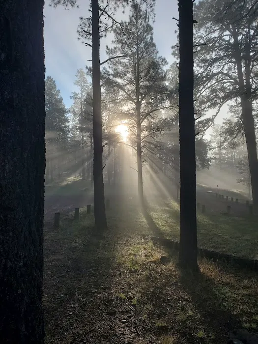 Luna Lake Group Campground 9