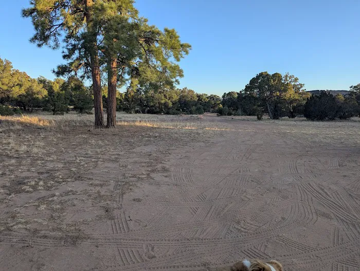 Jackson Park Campground 5