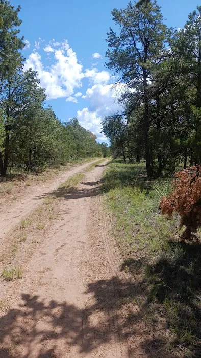 Jackson Park Campground 6