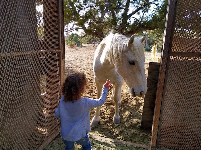 TLC Ranch 7