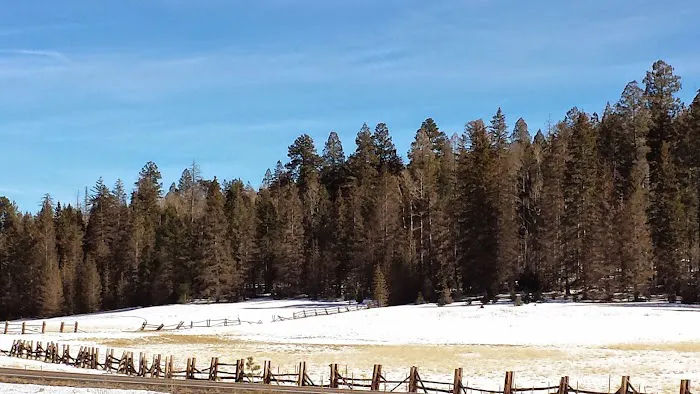 Stray Horse Campground 2