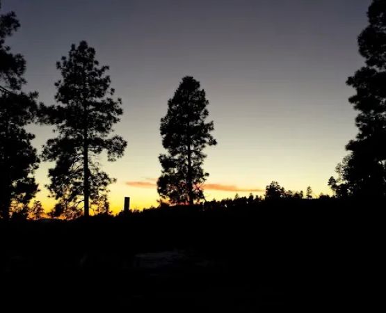 Stray Horse Campground