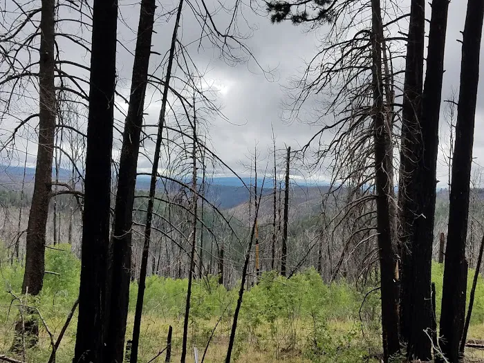 Hannagan Campground 6