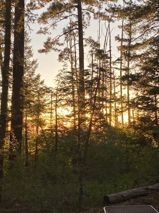 Hannagan Campground 5