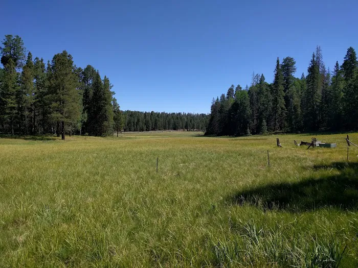 Hannagan Campground 8