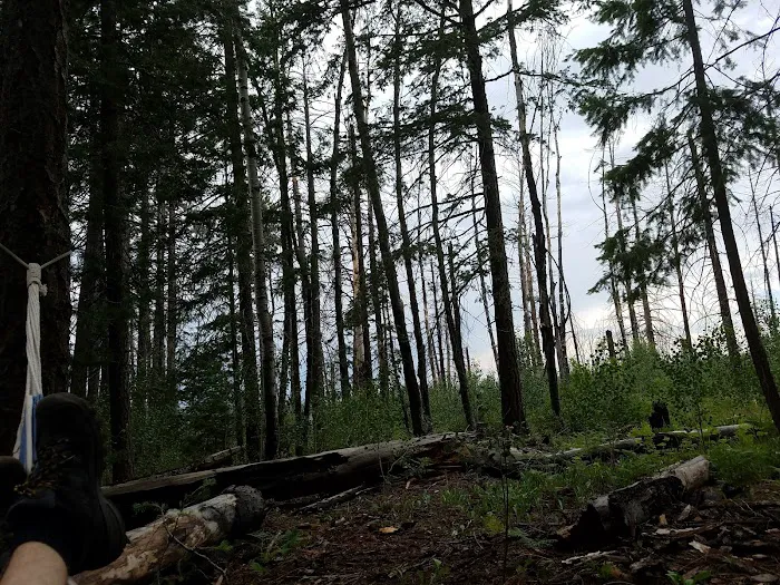 Hannagan Meadow Recreation Area (recgovnpsdata) 0